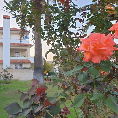 Vaso'S Country House Near The Beach And Airport Порто-Рафті Екстер'єр фото